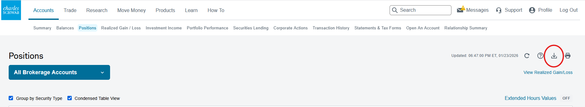 Schwab Download Icon